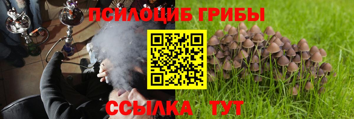 Псилоцибиновые грибы MAGIC MUSHROOMS Усть-Джегута