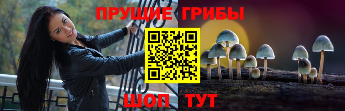 Галлюциногенные грибы Cubensis  Галлюциногенные грибы Psilocybe  Усть-Джегута  Вход с VPN 